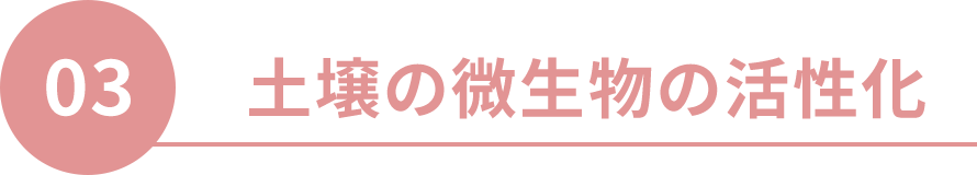 土壌の微生物の活性化